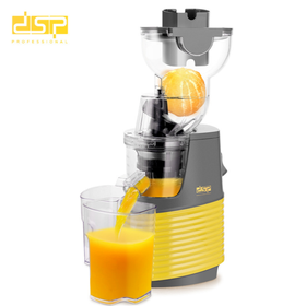 DSP 250W Whole Slow Juicer KJ3071